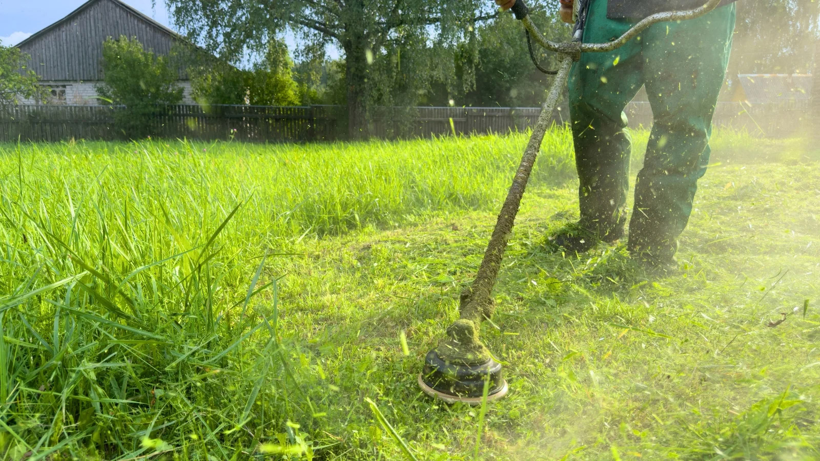 Fűkaszálás nyáron: mikor érdemes elvégezni és miért nem szabad halogatni?